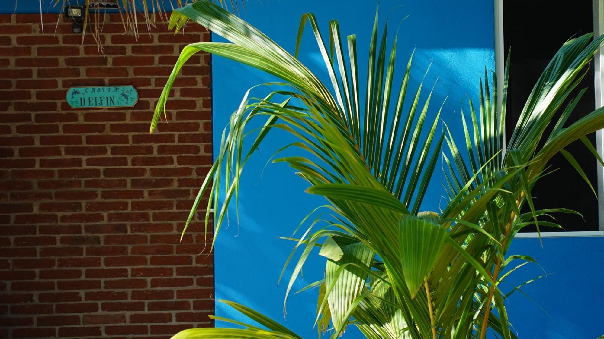Ocean Oasis Hotel - Adult Only, Four Casitas Boutique Resort Agua Blanca Esterno foto