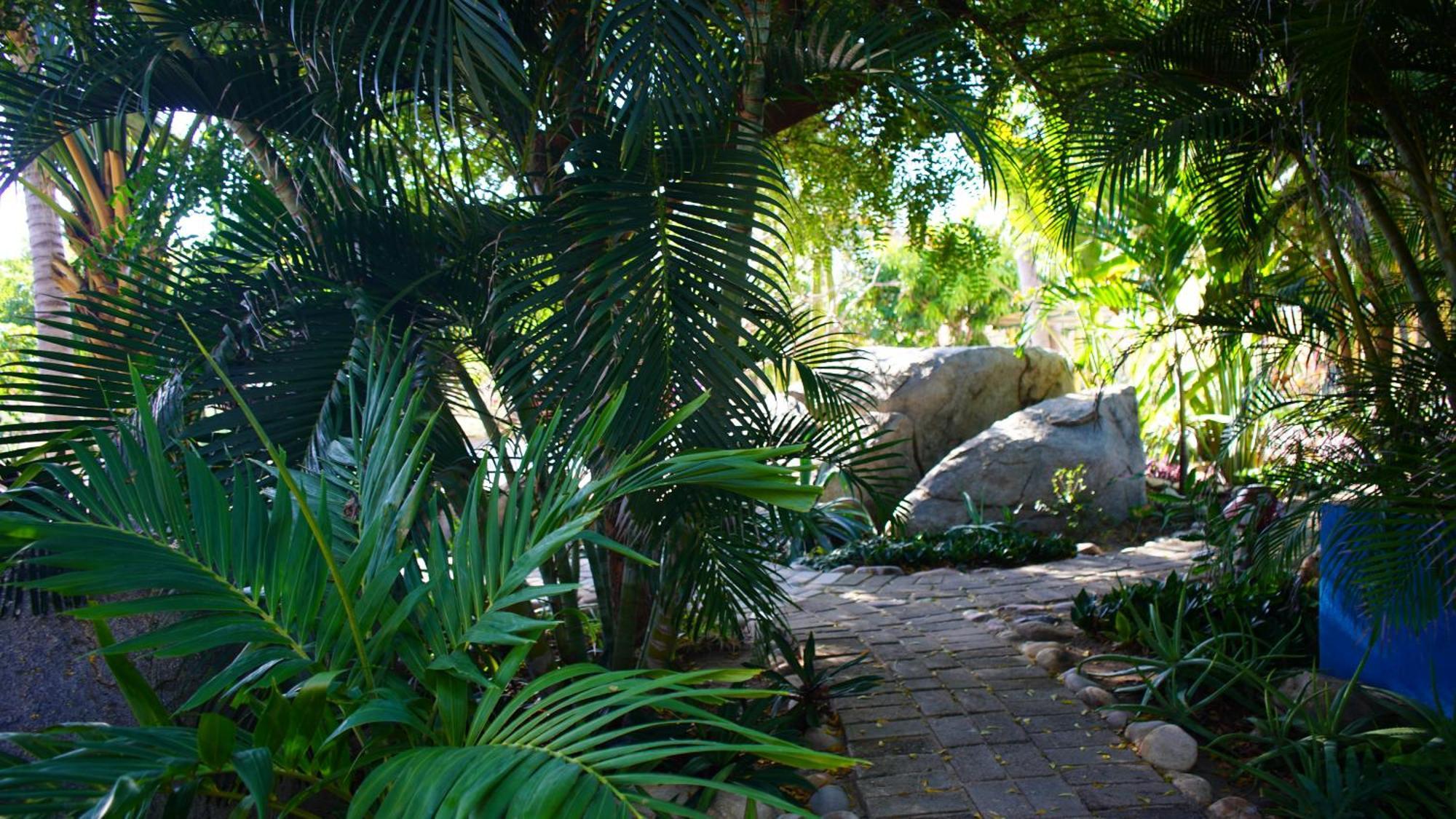 Ocean Oasis Hotel - Adult Only, Four Casitas Boutique Resort Agua Blanca Esterno foto