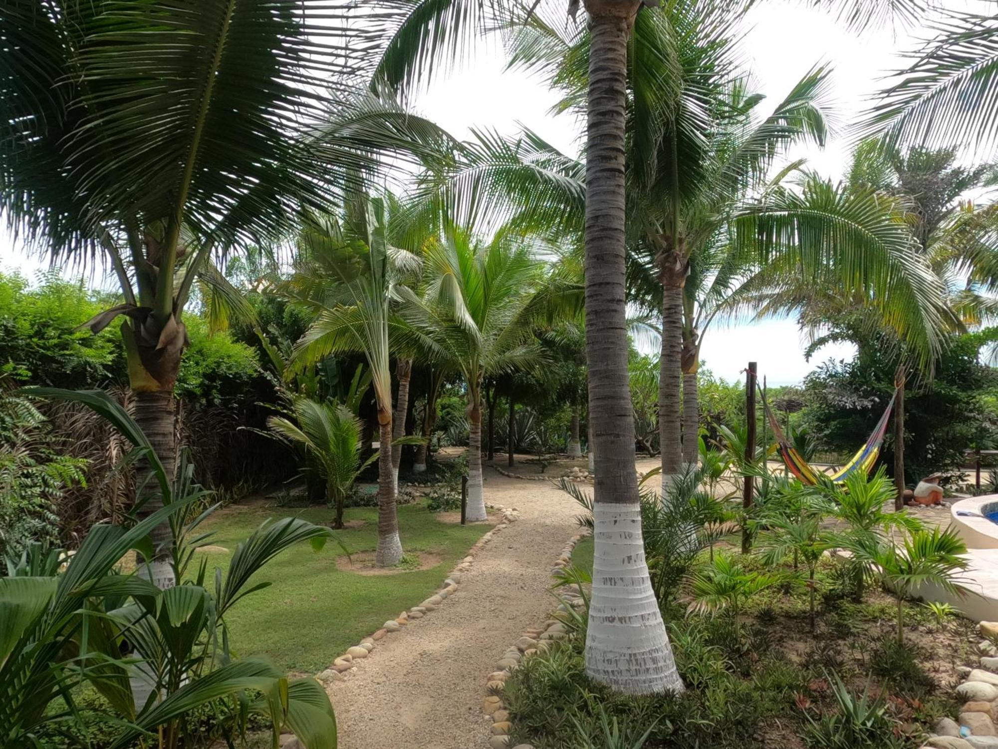 Ocean Oasis Hotel - Adult Only, Four Casitas Boutique Resort Agua Blanca Esterno foto